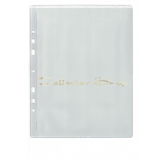 10 banknote pages A4  TYPE A4-1 for banknote albums LARGE