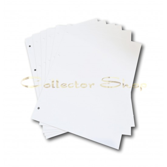 10 Dividers for banknote albums - TYPE A4